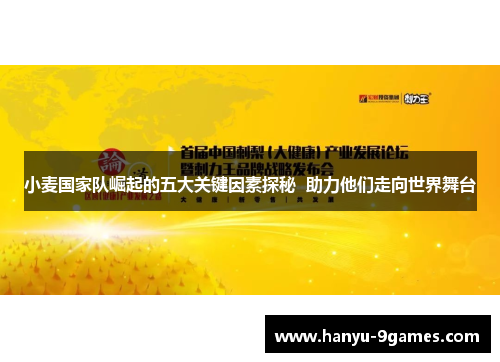 小麦国家队崛起的五大关键因素探秘  助力他们走向世界舞台