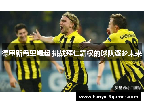 德甲新希望崛起 挑战拜仁霸权的球队逐梦未来